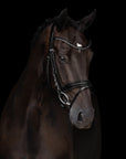 Trense Grace in Schwarz mit Chrombeschlägen am Pferd