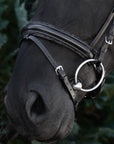 Detailfoto Trense Grace in Schwarz mit Chrombeschlägen am Pferd: anatomisches Genickstück, geschwungenes Stirnband mit grauen Kristallen und Reithalfter mit Kristallbiese