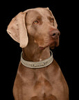 Hundehalsband Kieffer Ultrasoft® Horsebit