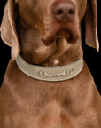 Hundehalsband Kieffer Ultrasoft® Horsebit
