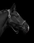Leder-Stallhalfter Onyxa