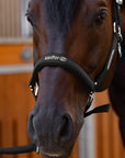 Detailfoto der Stickerei auf dem Nasenriemen von Stallhalfter Satin Shine in Schwarz am Pferd