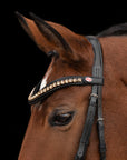 Detailfoto von Genickstück und Stirnband der Trense Chamèa in Schwarz