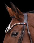 Snaffle Bridle Hazel