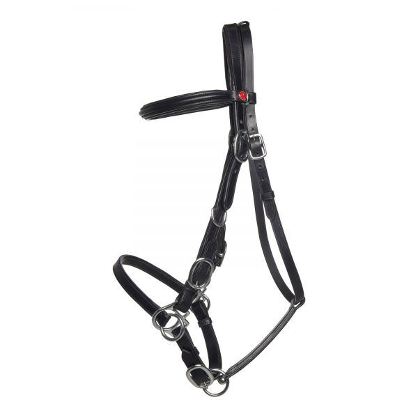 LK Combi-Bridle in black without cheekpiece