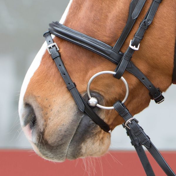 Variant 1: use it as flash noseband