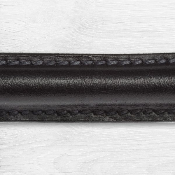 Simple designed, black leather browband