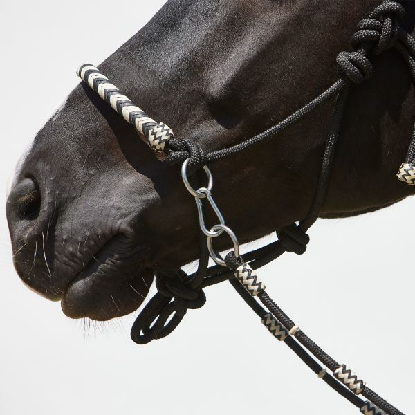 Detail: noseband with decorative elements in braided leather