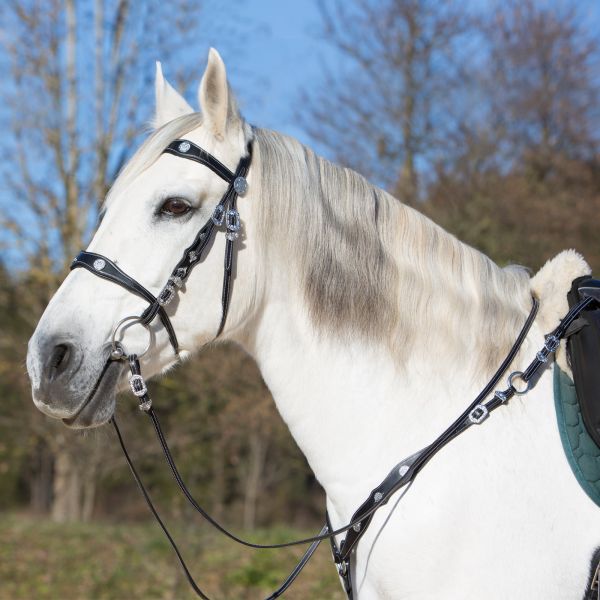Breastplate Isabella and Snaffle Bridle Isabella in Kombination