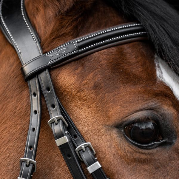 Browband in detail