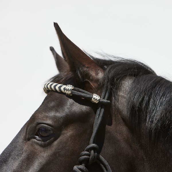 Detail: browband with decorative elements in braided leather