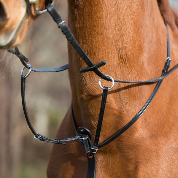 Martingale with adjustable Fork