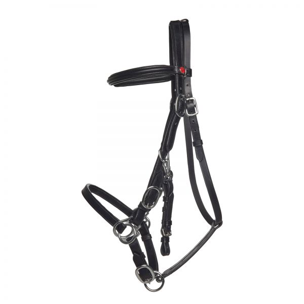 LK Combi-Bridle in black with buckled cheekpiece