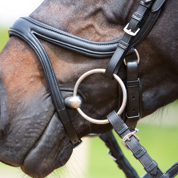 Snaffle Bridle Kieffer Ultrasoft Tara: curved browband with integrated flash strap