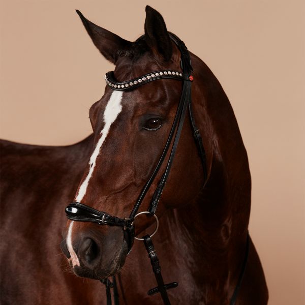 Melody Snaffle Bridle
