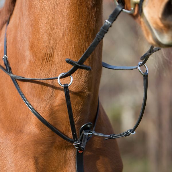 Martingale with adjustable Fork in detail