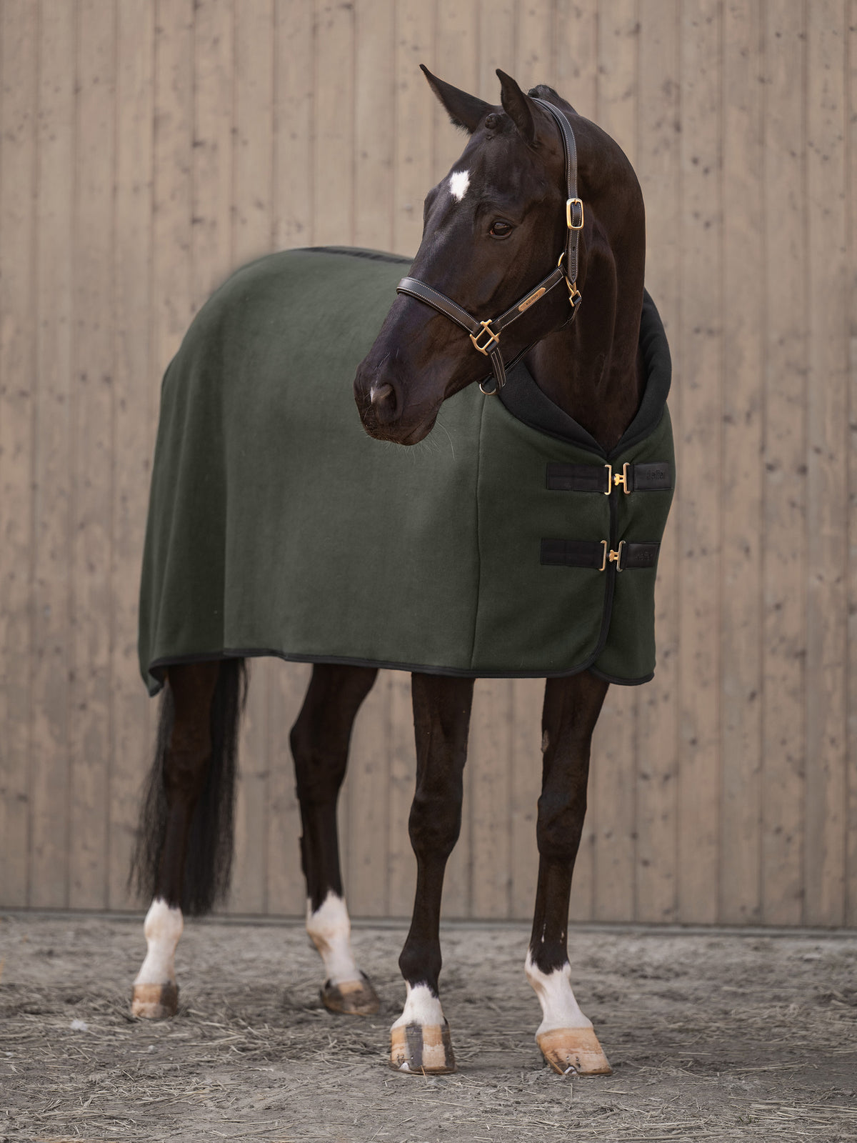 Sweat Rugs Sweat Rug Moosie – Kieffer New Chapter