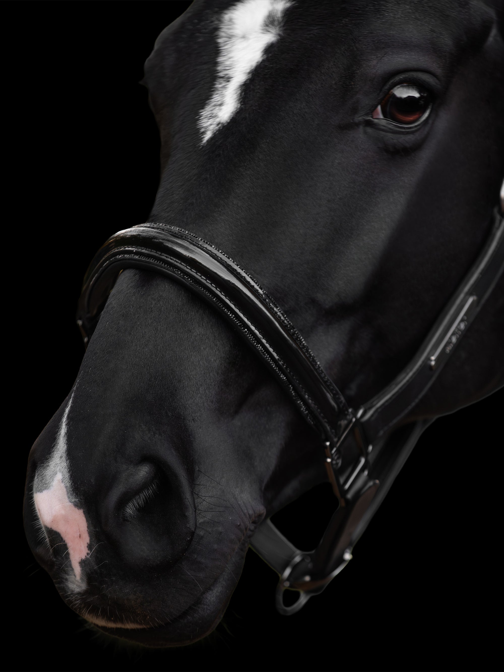 Leder-Stallhalfter Onyxa