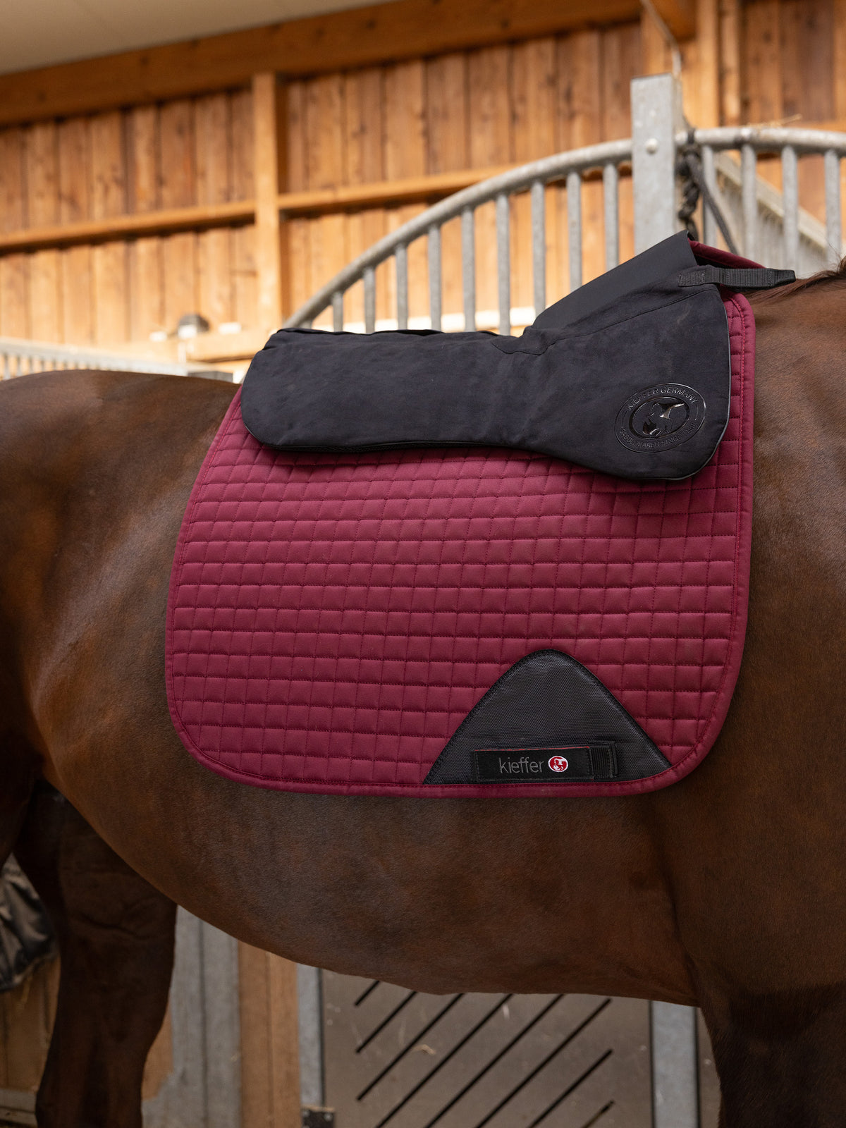 PressureFree Pad auf dem Pferderücken