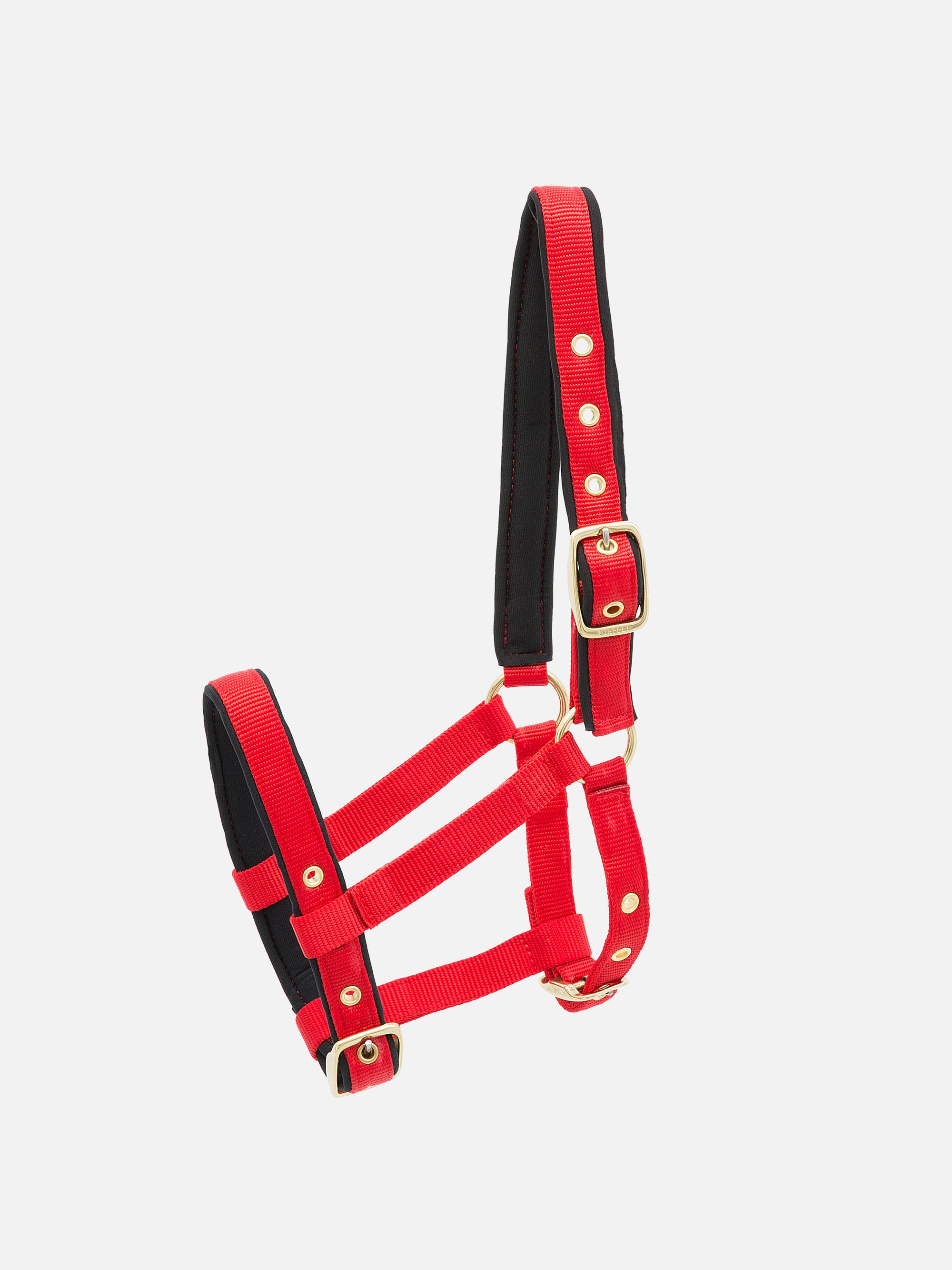 Nylon-Stallhalfter Collection extra für Fohlen in Rot mit messingfarbenen Beschlägen