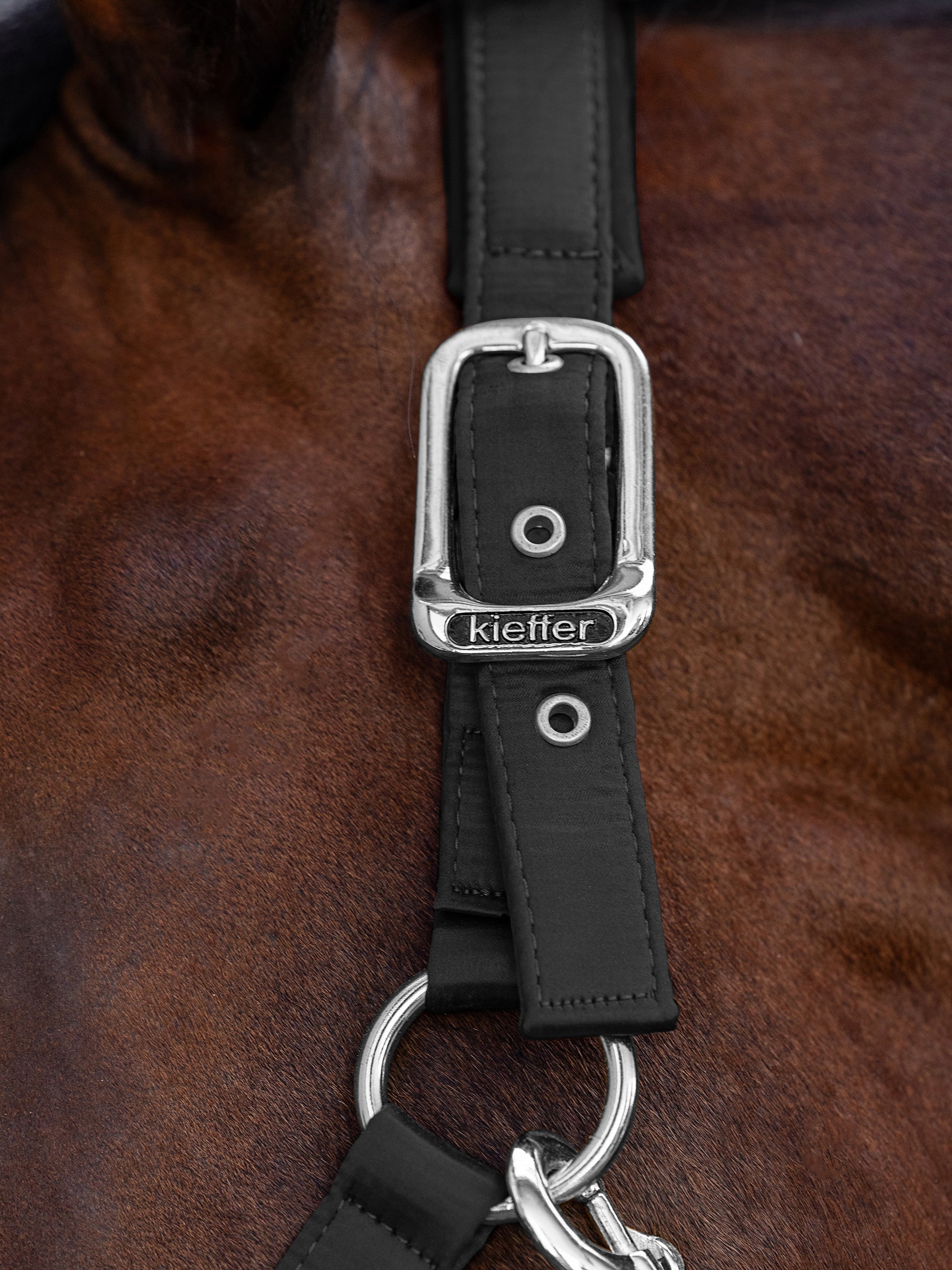 Detailfoto der Schnallen von Stallhalfter Satin Shine in Schwarz am Pferd
