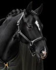 Leder-Stallhalfter Onyxa in Schwarz am Pferd