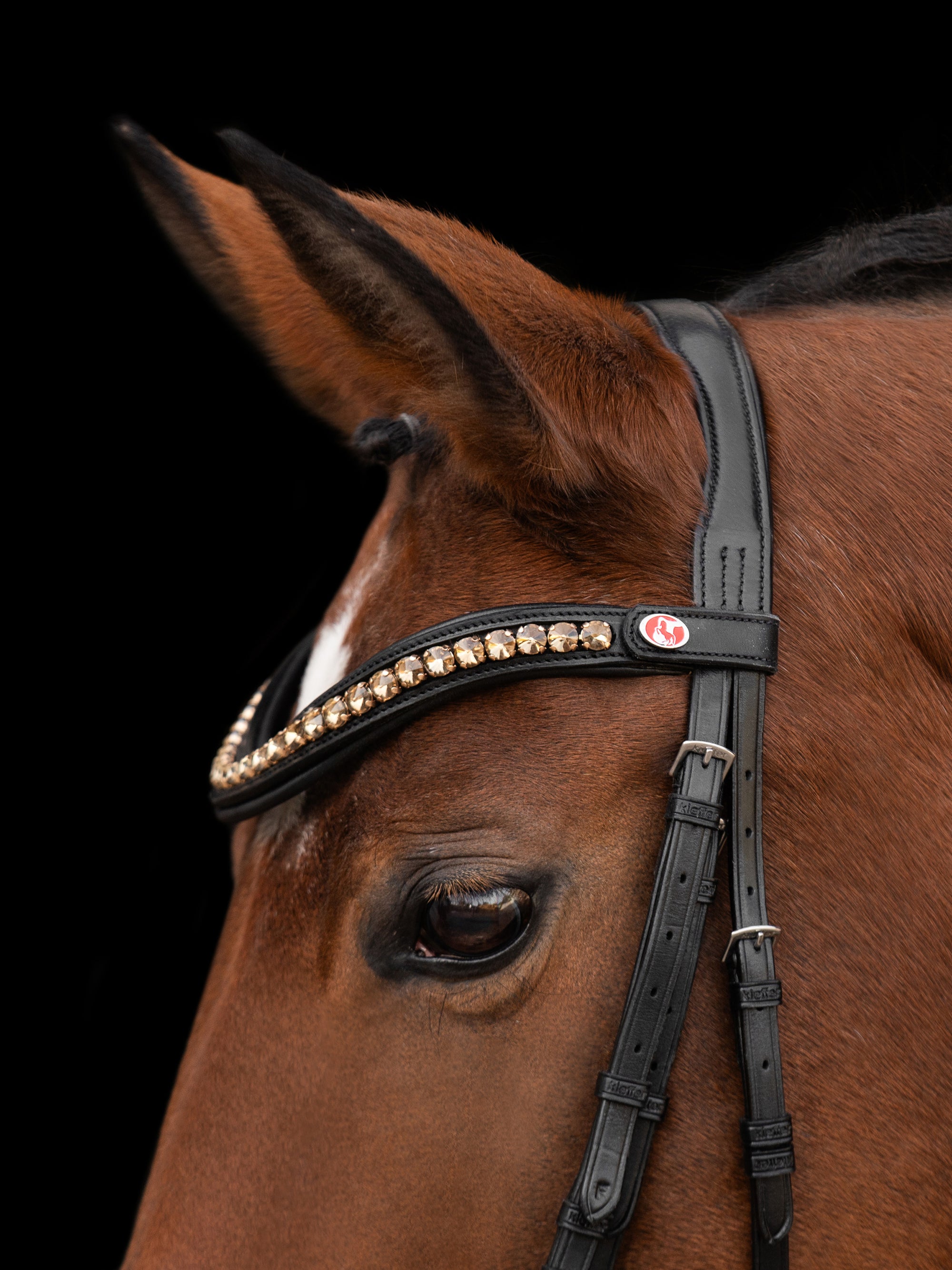 Detailfoto von Genickstück und Stirnband der Trense Chamèa in Schwarz