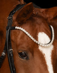 Detailfoto von Stirnband und Genickstück der Kandare Faye am Pferd