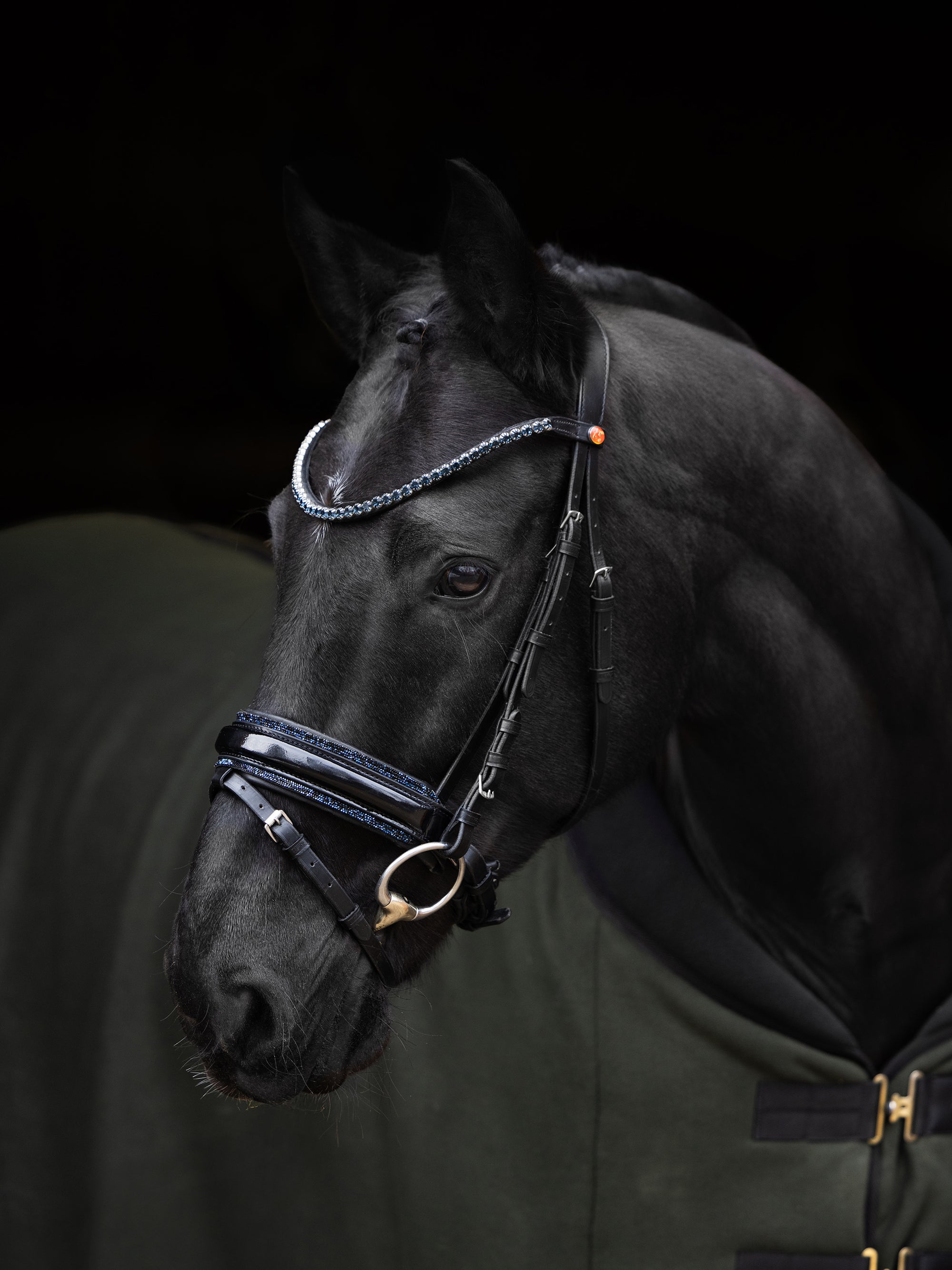 Trense Grace Sapphire in Schwarz mit blauer Kristallbiese und Stirnband am Pferd