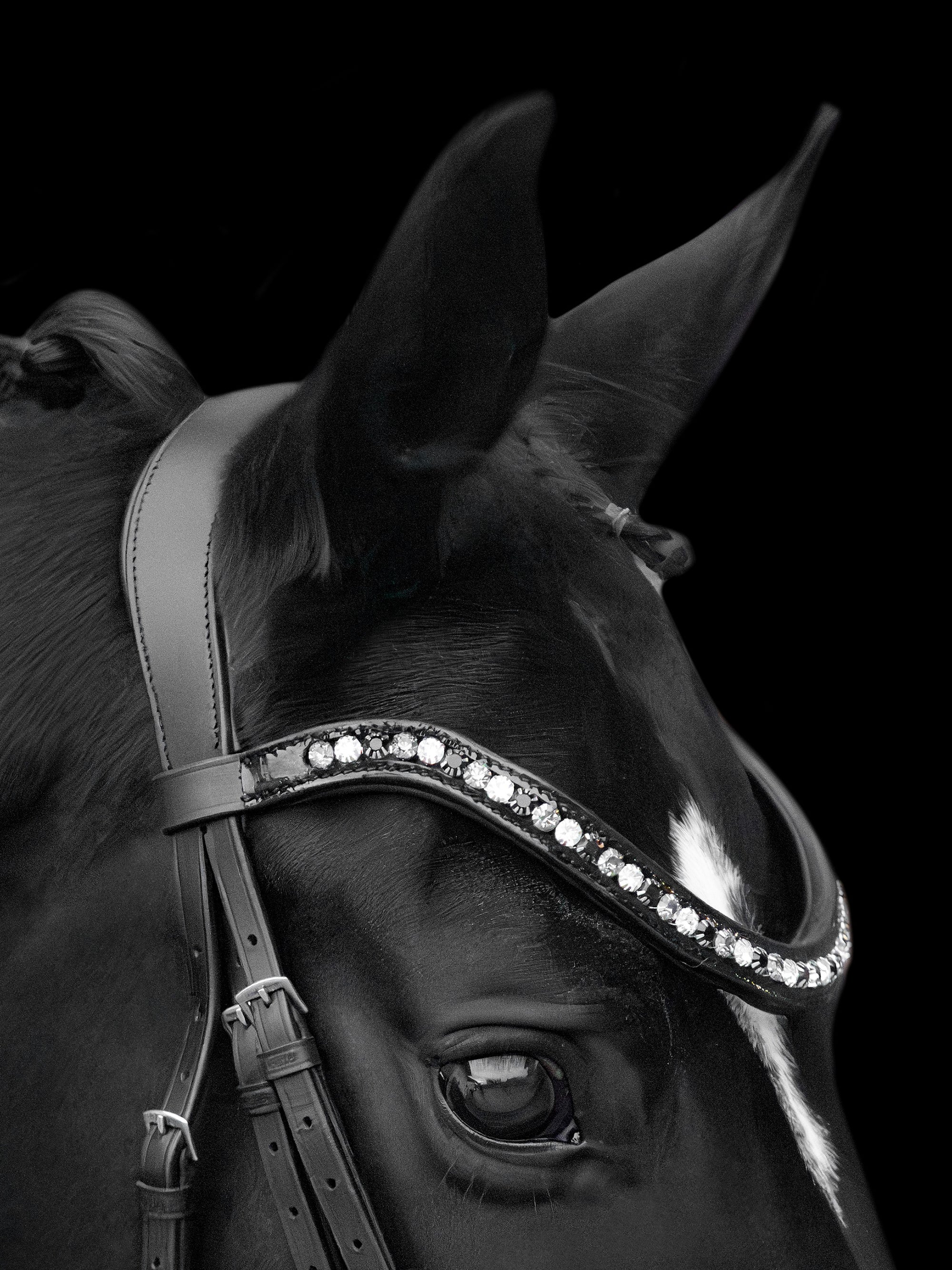 Trense Lucy in Schwarz
