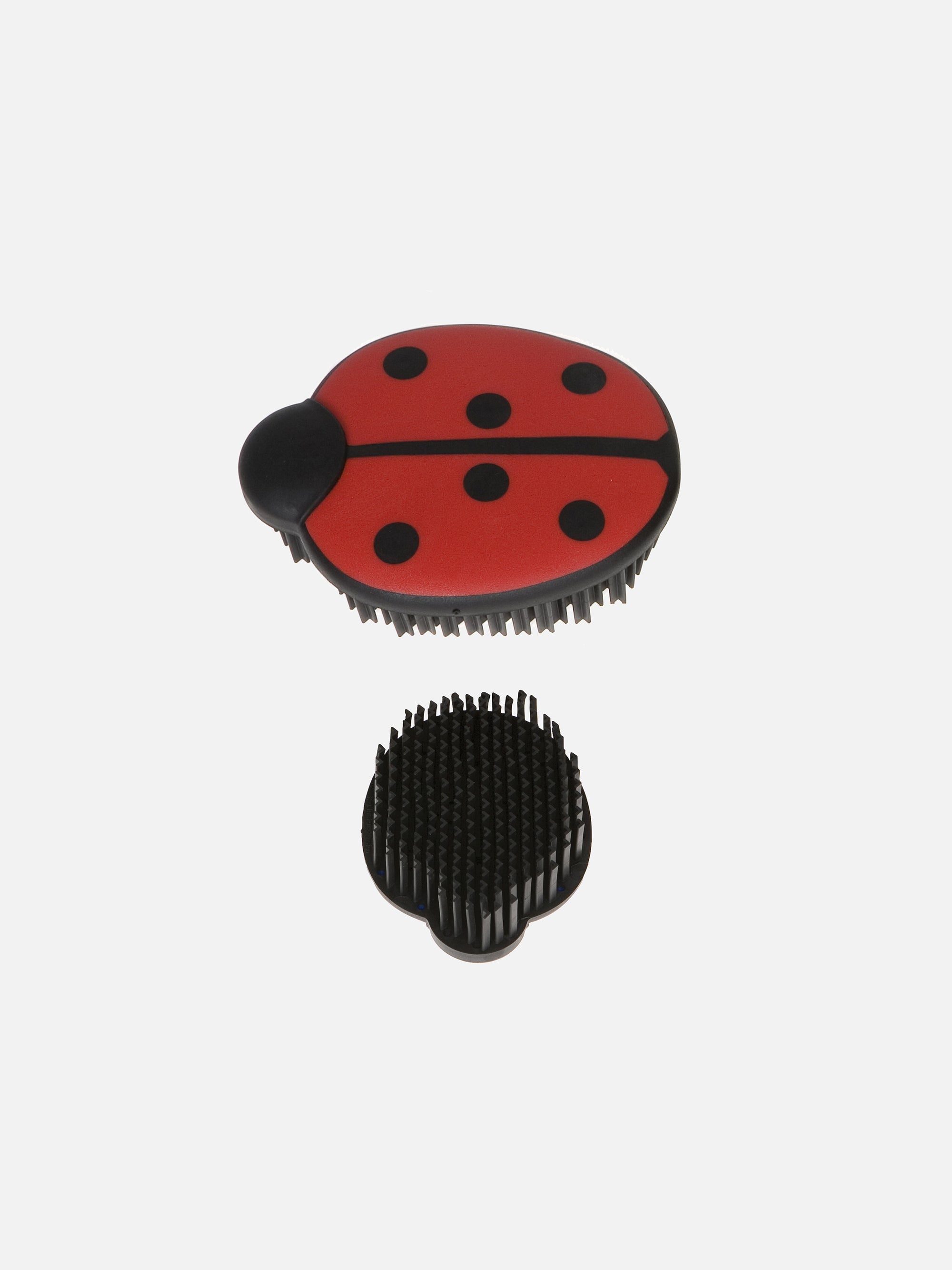 Mini-Putzwunder im niedlichen Marienkäfer-Design